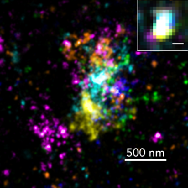 Imaging chromosome structure at the nanoscale