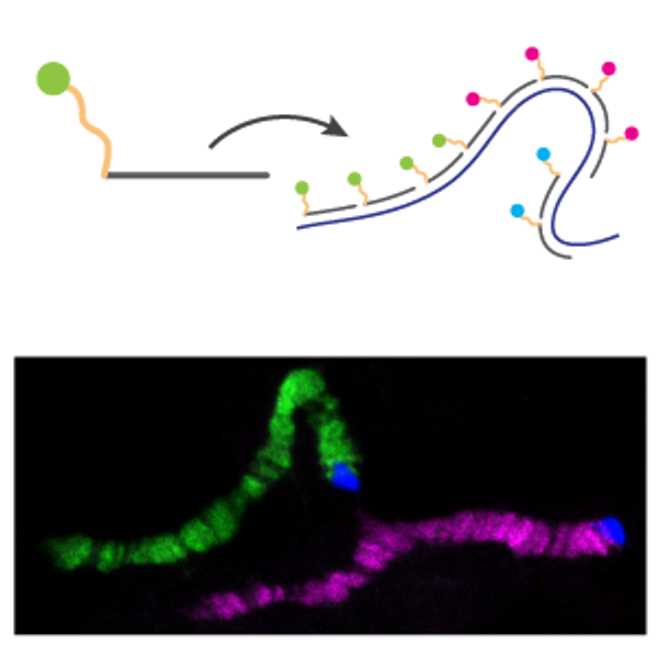 Genomics technology development